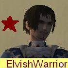 ElvishWarrior